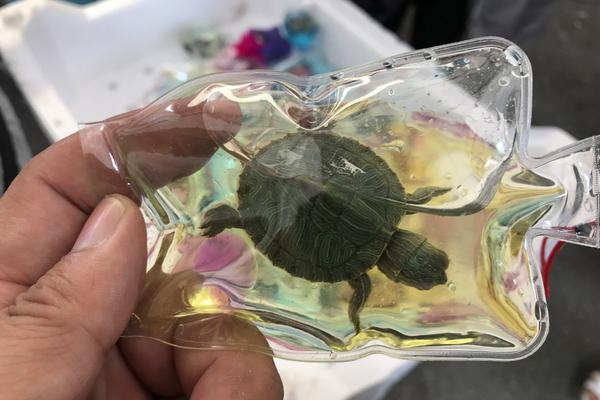 17球6助！吉拉西上賽季以來(lái)歐冠參與23球，同期參與進(jìn)球最多