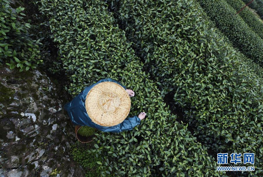 占比42%！維尼修斯歐冠打進(jìn)31球，其中13球來(lái)自淘汰賽
