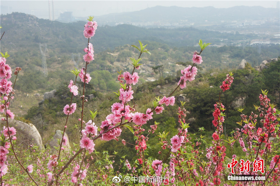 阿諾德本場(chǎng)數(shù)據(jù)：2次關(guān)鍵傳球8次長(zhǎng)傳，傳球成功率88.9%，評(píng)分7.5v3.6.4 官方安卓版