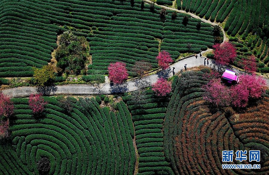 德天空：布萊頓計(jì)劃今夏同時(shí)簽下馬拉兄弟 此前3000萬(wàn)歐報(bào)價(jià)遭拒v2.9.2 官方安卓版